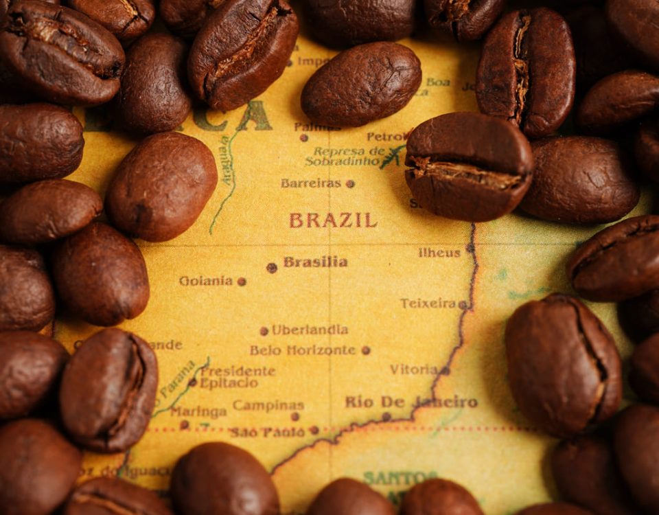 mapa en brasil con granos de cafe por encima