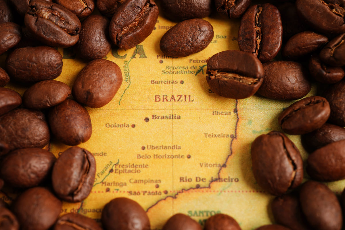 mapa en brasil con granos de cafe por encima